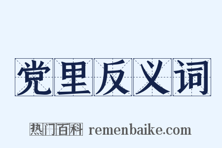 党里反义词是什么意思的图片